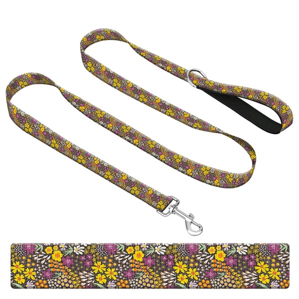 BSDUUIF Dog Leash for Large Medium and Small Dogs, Cute