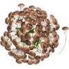 VBS Mushroom on Wire Brown Pack of 100