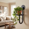 Wall Plant Holder Set of 2 for Outdoor, Metal Hanger