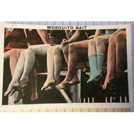 Vintage Tichor Bros Post Card, COMIC Beach Themed Risqué “Mosquito Bait” #121357