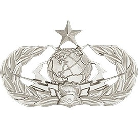 Uniform Accessories Unlimited Inc Air Force Cyberspace Support (Enlisted) Dress Brite Badges (Full Size, Senior)