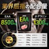 JAKS EAA 600g BCAA ベータアラニン クレアチン グルタミン クエン酸 HMB 必須アミノ酸