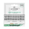 Eylure Clusters Individuals Definition (18 hr glue)