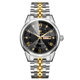 CHEETAH Quartz Waterproof Watches for Men Diamond Stainless Steel in Silver Gold Tone, with Date Week Display, Luminous Hands
