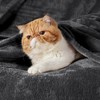 Bedsure Fleece Blanket Sofa Throw - Versatile Blanket Fluffy Soft