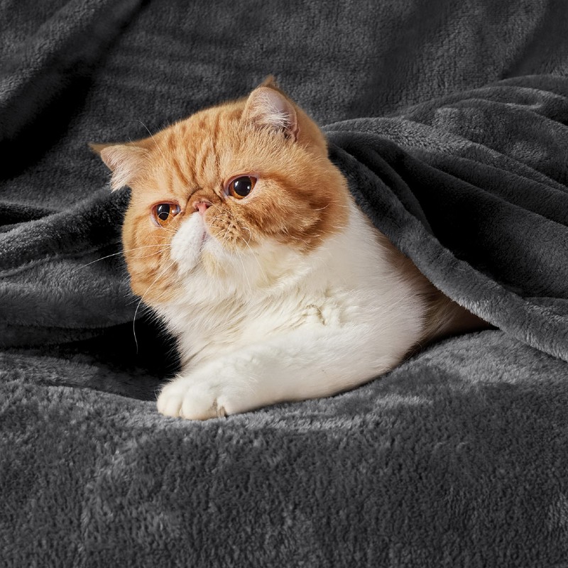 Bedsure Fleece Blanket Sofa Throw - Versatile Blanket Fluffy Soft