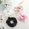Nogeqi 4PCS Stash Scrunchie with Zipper Pocket, Hidden Pocket Scrunchies