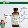 OTTO AURA OTTO AURA Lemongrass Essential Oil, 4 Fl Oz,