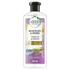 Shampoo BioExpert Shampoo 650 g