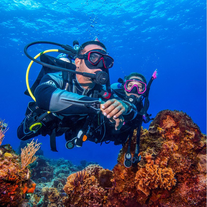 Tusa M-212 Ceos Clear Skirt Scuba Diving Mask - Cobalt