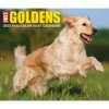 Golden Retrievers 2022 Box Calendar - Dog Breed Daily Desktop