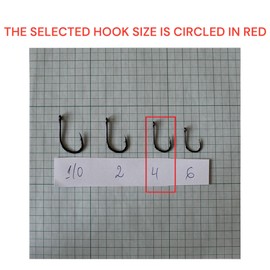 PRO FILSTAR Fishing Hook Set of 5, N4 with Leader 25 cm & Fishing Swivels - Braided Line - Fishing Carp Accessories - Fishing Hook Carp - Boilies & Pellet Hooks - Sport Set - Carp Rig - Leader Line