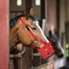 UPALDHOU Horse Grazing Muzzle,Adjustable Horse Mouth Cover Muzzle Equine Grass