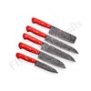 Chef knife, Custom Made Damascus Steel chef knife Set 5-PCs
