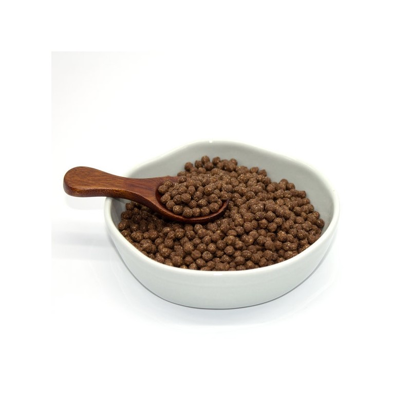 Psyllium husk pill 500g / 차전자피환 질경이환 500g