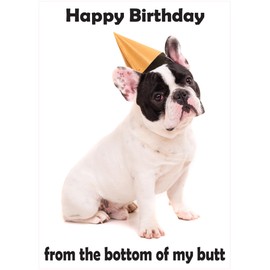 Glory To Dog Happy Birthday from the Bottom of My Butt Birthday Card with Greeting Card Mailing Envelope