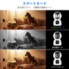 【Dual Lens Camera】 Hiseeu PTZ 3 Megapixel Alexa - Alexa
