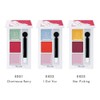 Lunasol EX02 Tempting Layer Palette, Lipstick, EX02, Aigattayu, 0.1 oz