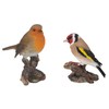 Vivid Arts - British Birds Life Like Robin & Goldfinch
