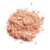 Maquillaje En Polvo Matte Natural 10g Renova