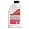 Pro Products PRO-PRODUCTS-RO12N Rust Out Iron Remover - 1 Bottle