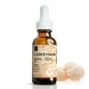 Lions Mane Supplement - High Strength 115,000mg Lions Mane Extract
