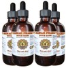 Witch Hazel (Hamamelis virginiana) Liquid Extract 4x4 fl.oz