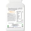 WellScience ImmunoElite Pro: Immune Support, Antioxidant Boost, and Energy Enhancement