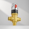 Morado Thermostatic Mixing Valve with 1/2 NPT Male Connection, Water