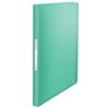 Esselte 626238 Document Protectors Binder Green