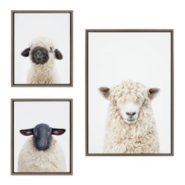 Kate and Laurel Sylvie Sheep Bangs Portrait, Animal Studio Black Nosed Sheep and Dorper Sheep Framed Canvas Wall Art Set by Amy Peterson, 3 Piece Set Gray, Farm Animal Portrait Art for Wall