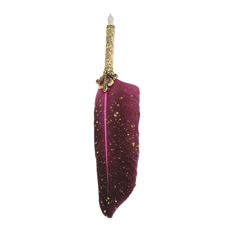 Feather Pen Set with 10 Interchangeable Nib Fire Lacquer Wax