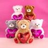 Oso Osito Clásico De San Valentín Corazón Pelucheria