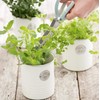Typhoon Living Airtight Tea, Coffee and Sugar Storage Canister with