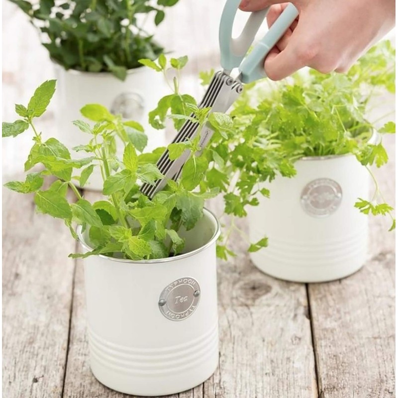 Typhoon Living Airtight Tea, Coffee and Sugar Storage Canister with