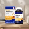로얄 프로폴리스 500mg 180캡슐 Royal Propolis 500mg 180 Capsules