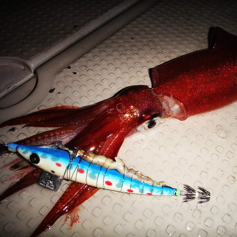 KEYSTONE Lure, Egg, Early Fortune Type, Full Luminous, M No