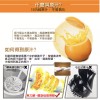 JOYOUNG vegetable and fruit juice slow grinding machine JYZ-E