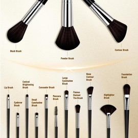 Makeup Brushes, 14 Pcs Makeup Brush Set with 2 Beauty Blenders, Travel Makeup Brush Set for Foundation, Concealer, Blush and Eyeshadow Brush(Black)