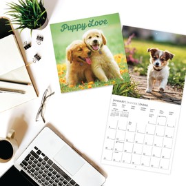 Graphique 2026 Puppy Love Wall Calendar | 12” x 12” | Thick Paper | Home & Office Organizer | Large Monthly Grid | 3 Languages & Marked Holidays | 4 Month Preview Page for 2027