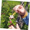 Kisangel 8pcs Pollinator Tools for Garden Use Hand Pollination Brush