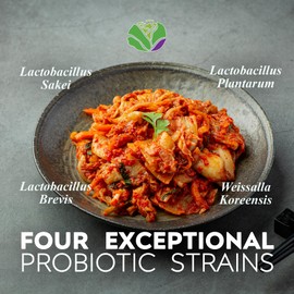 Kimchi Life – Daily Capsules of Premium Fermented Kimchi - Vegan & Natural Nutritional Supplement - Probiotics for Gut Health & Immune Support – Enhance Energy, Focus, Skin and Hair Health