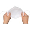 [2 Pack] [AirQueen] 3-Layers NanoFilter Face Safety Mask [Individually Packaged]