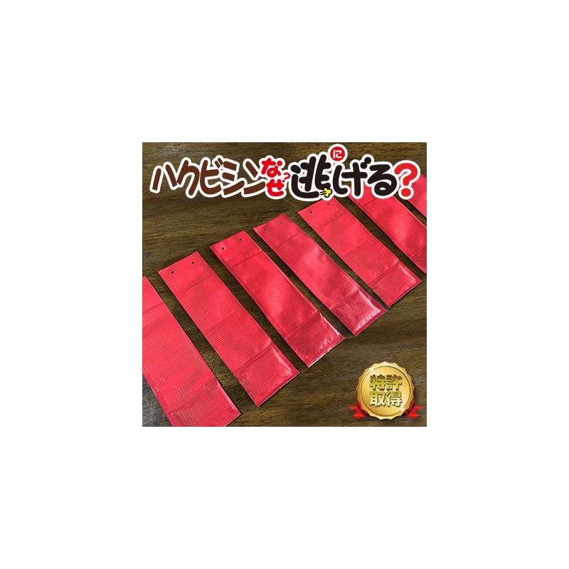 Hakubitin, Raccoon, Why Escape? Set of 10 Outdoors, Civicin, Raccoon,