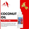 Morning Bird Coconut Oil for Birds 4 oz – Supports