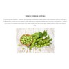Pistaché Skincare Pistachio Oil Face Moisturizer | Hydrating & Nourishing