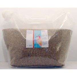 Morning Bird Japanese Millet Seed (10 lb)