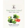 Vegetable Seeds for Planting Vegetables - Variety Salad Pack -