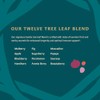 Healing Leaves Tea - 30 Servings - Biblically inspired tea