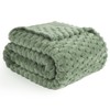Vessia Flannel Fleece Throw Blanket, 3D Jacquard Sage Green Fuzzy